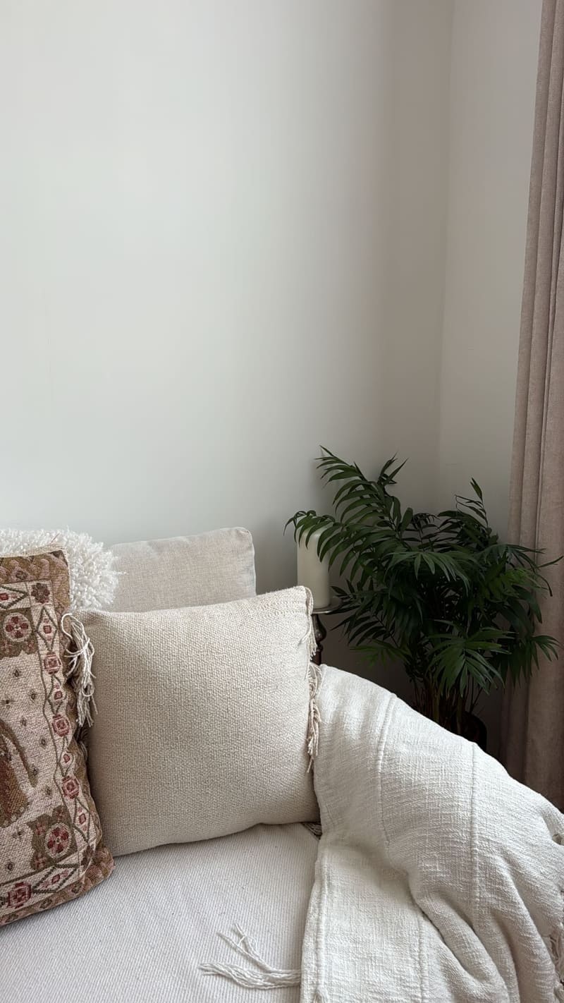 A cream sofa layered with textured cushions and a soft throw beside a palm